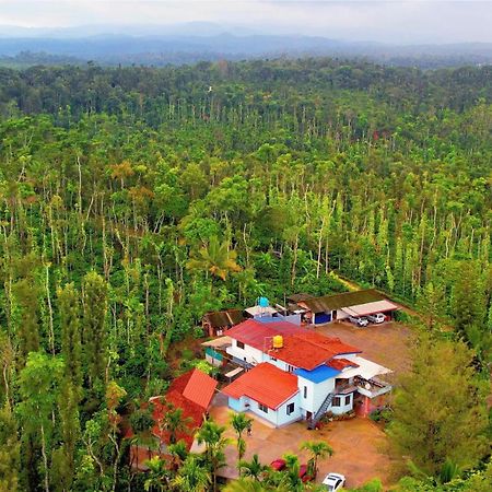 New Organic Home Stay Mudigere Exteriör bild