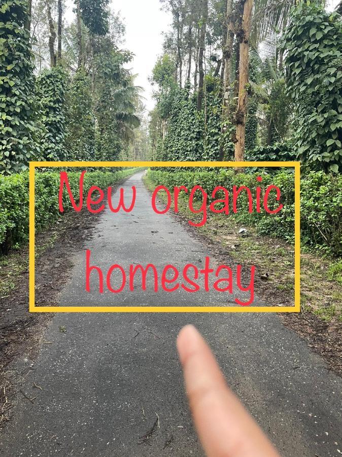 New Organic Home Stay Mudigere Exteriör bild