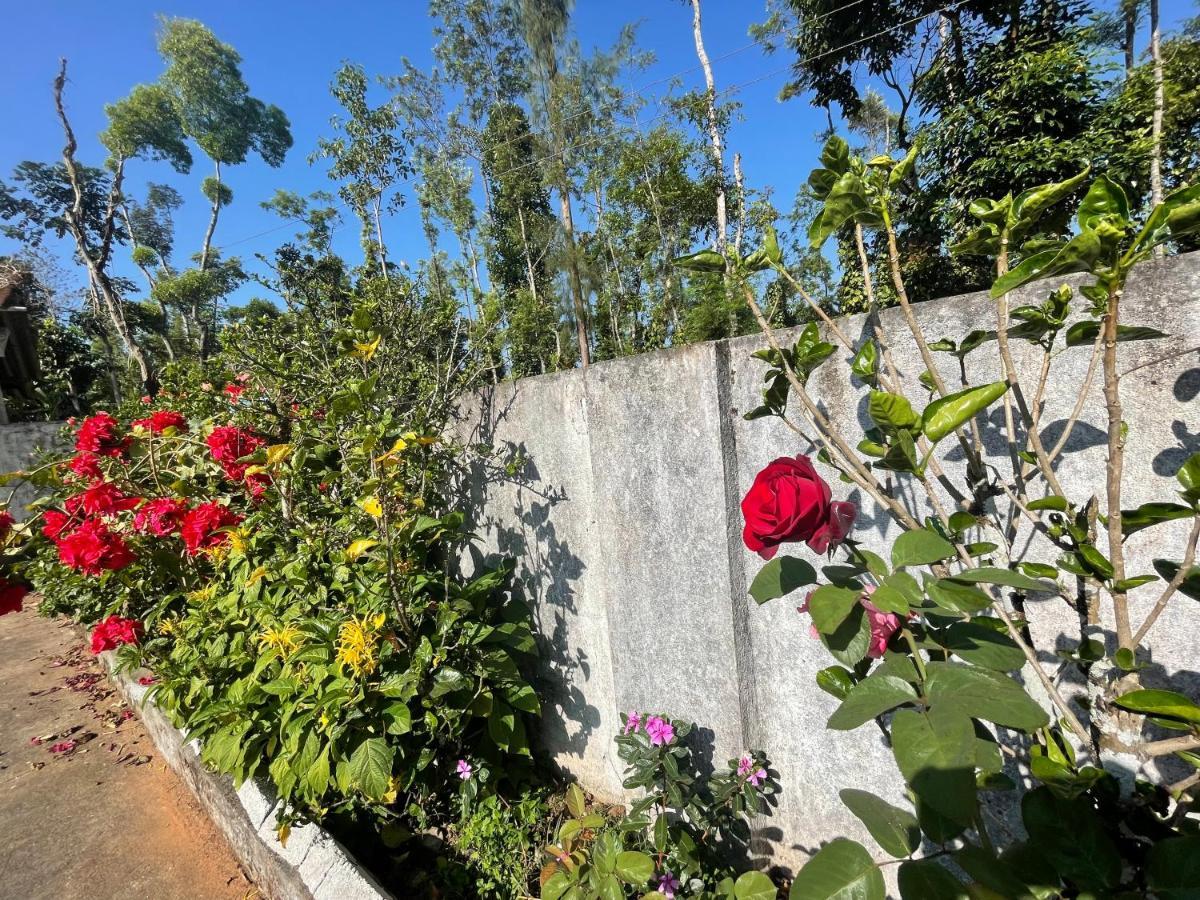 New Organic Home Stay Mudigere Exteriör bild
